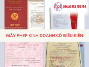 giấy phép kinh doanh