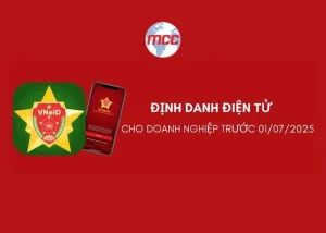 Tài khoản định danh điện tử cho doanh nghiệp, tổ chức